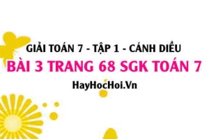 Giải bài 3 trang 68 Toán 7 Tập 1 SGK Cánh Diều